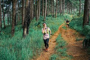 BIB: 
                            <button type="button" onclick="openModal(25668789)" class="btn btn-primary btn-sm float-right btn-popup" data-toggle="modal" data-target=".modal-high-quality">
                        <i class="fas fa-shopping-cart"></i> Add to Cart
                    </button>
                                            <button type="button" onclick="isThisMe(25668789, true)" class="btn btn-success btn-sm float-right btn-popup btn-isme hidden" data-toggle="tooltip" data-placement="bottom" title="นี่คือรูปของคุณใช่ไหม คลิกที่นี่เพื่อเอาเข้าอัลบั้ม">
                        <i class="fas fa-plus"></i> Add to album
                    </button>
                    <button type="button" onclick="isThisMe(25668789, false)" class="btn btn-warning btn-sm float-right btn-popup btn-isnotme hidden">
                        <i class="fas fa-ban"></i> Remove from album
                    </button>